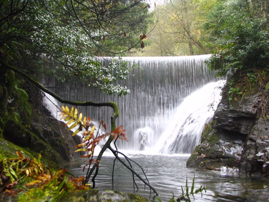 Cascada rodeada de vegetación en Mazonovo